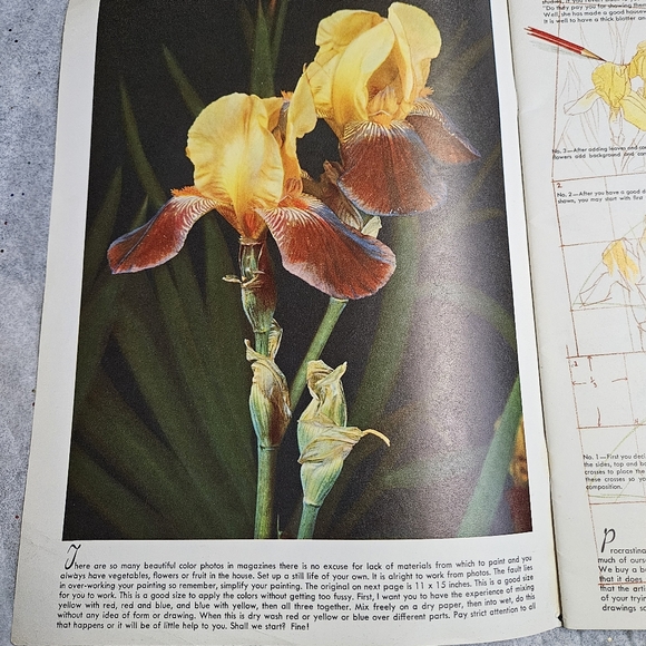 How To Do Water Colors Materials to Use and How to Paint with Watercolors #5 Vtg - Picture 6 of 16